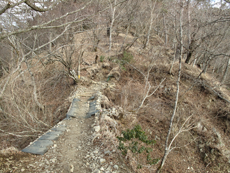 20170118hike (87)
